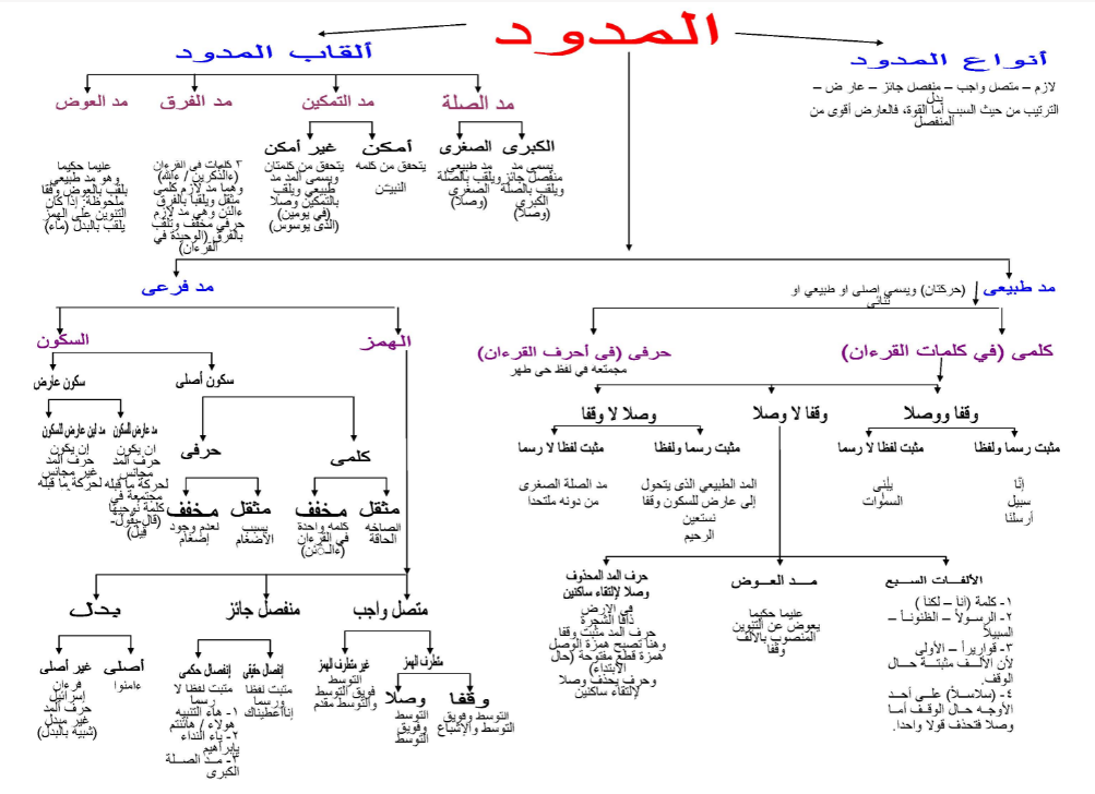 انواع المد