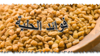 فوائد الحلبة