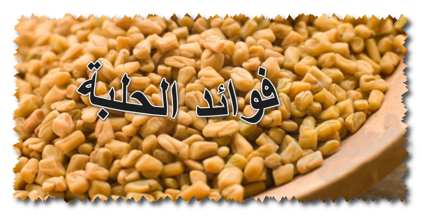 فوائد الحلبة