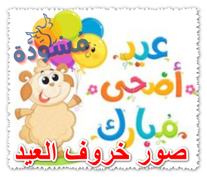 صور خروف العيد