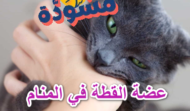 عضة القط في المنام