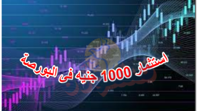 استثمار 1000 جنيه فى البورصة