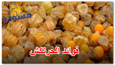 فوائد الحرنكش