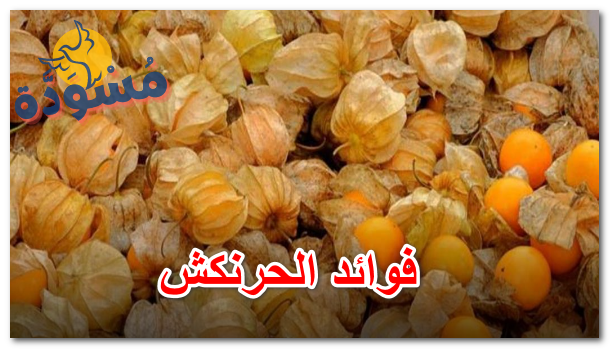 فوائد الحرنكش