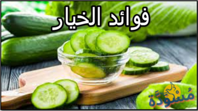 فوائد الخيار