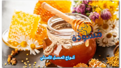 أنواع العسل الأصلي